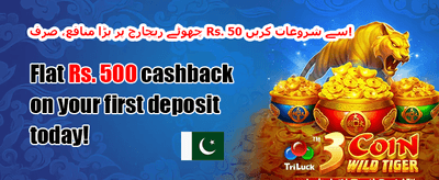 مفت اسپنز - میگا سلاٹس promotion